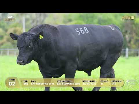 LOTE 002