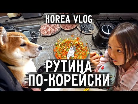 Видео: Покрывает ли страховка домашних животных кастрацию?