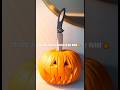 Carving pumpkins on the 21st floor of our hotel with our EDC knives 🎃🗡️ | EDCWerx