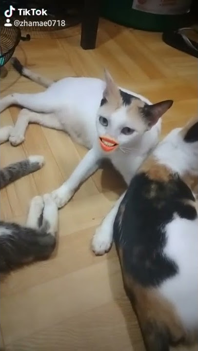 ming ming sing