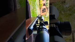 Új Céltávcső rendszeresítve - Ortex 3-9x40 #muflonikiralyihonvedseg #muflon