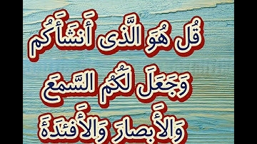 القران الكريم سورة الملك الاية 21…24 بقراءة حجازية بصوت عادل المالكي