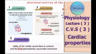 المحاضرة 3 شرح خصائص عضلة القلب - Physiology | Lecture ( 3  ) | C.V.S ( 3 ) | Cardiac properties