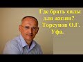 Где брать силы для жизни?Торсунов О.Г. 03 Уфа