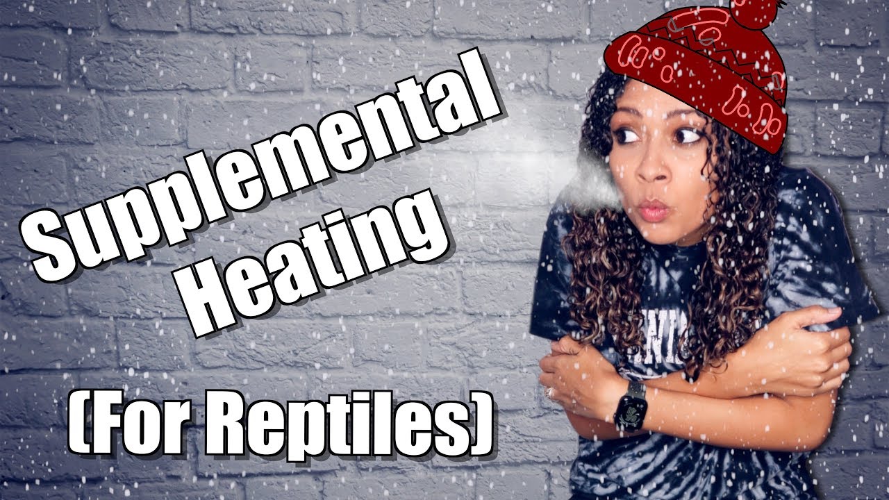 Согреваем рептилий зимой