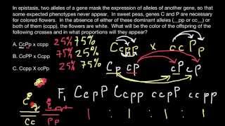 How to Analyse and Solve Genetics Problems - it is VERY EASY
