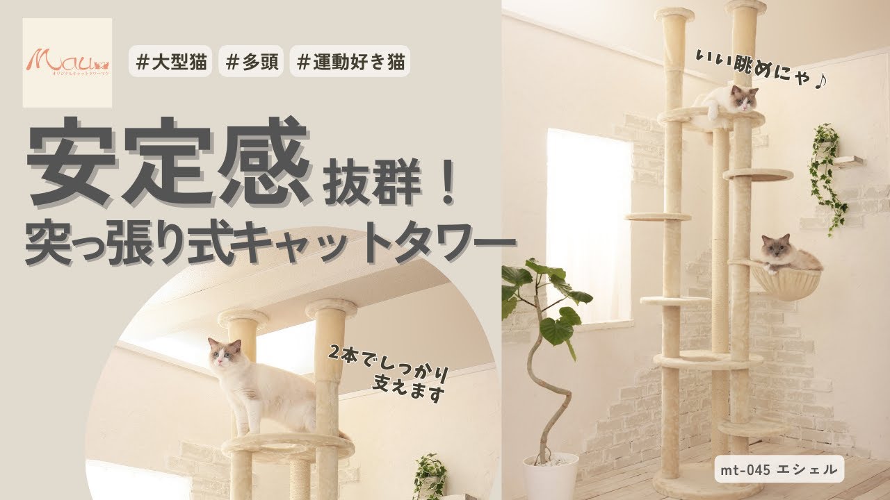 お値下げしました♡突っ張り型キャットタワー 安定感抜群！2本でしっかり支える突っ張り式タワー【キャットタワー