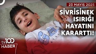 Batı Nil Virüsüyle Hayatı Karardı Tv100 Haber