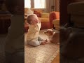 Baby Says “Woof”… and the Puppy Copies Him! 😂🐶👶