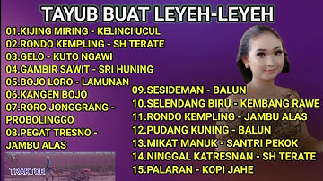 TAYUB 1 JAM 30 MENIT TEMAN PENGOLAHAN SAWAH