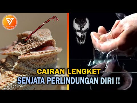 Video: Bagaimana Melindungi Diri Anda Dari Kekasaran