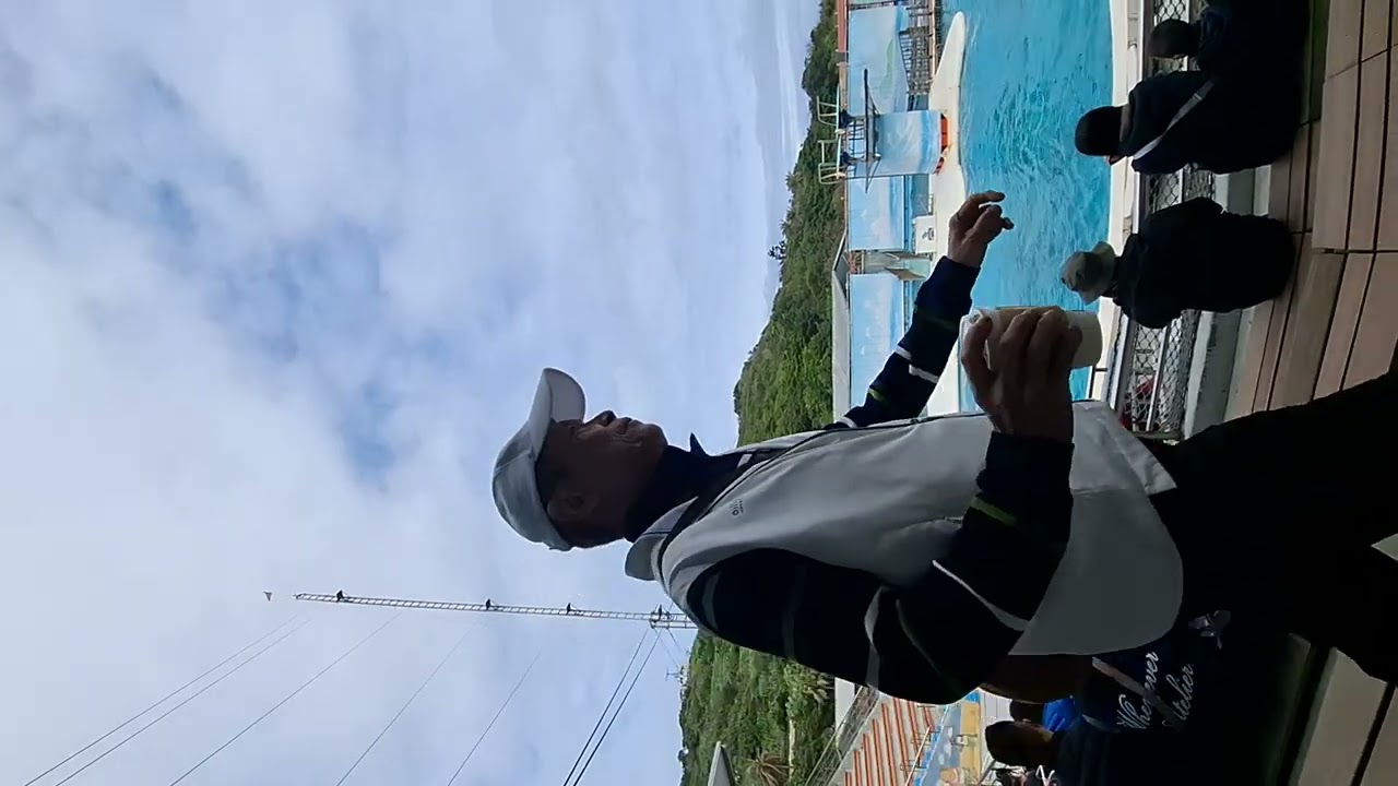 野柳海洋公園海豚海獅表演