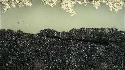 lithium dendrite growth _Graphite &Li half cell