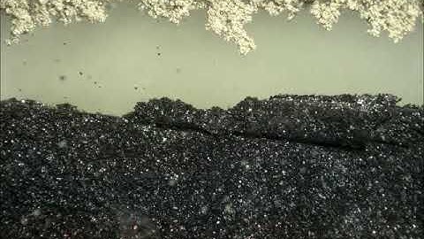 lithium dendrite growth _Graphite &Li half cell