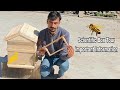 Scientific box tour  important information  beekeeping at home
