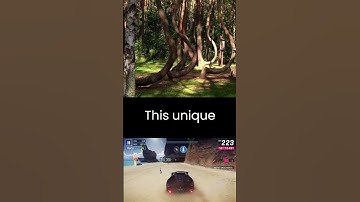 Unraveling the Mystery of Poland