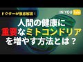 ドクターが教える！人間の健康に重要なミトコンドリアを増やすオーガニック的方法とは？