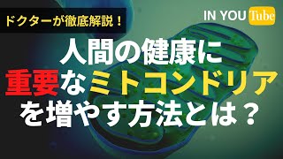 ドクターが教える！人間の健康に重要なミトコンドリアを増やすオーガニック的方法とは？