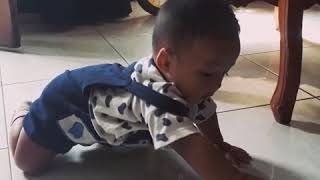 Proses bayi belajar jalan -