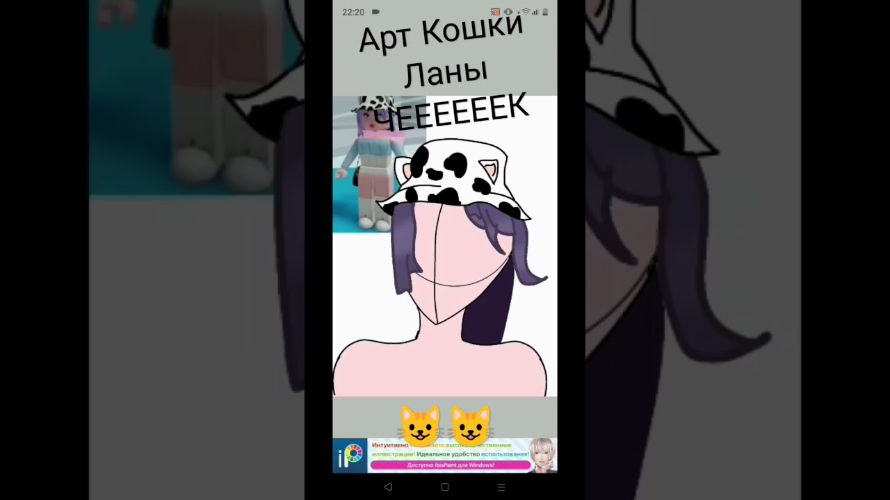 Сколько кошке лане лет