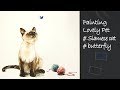 How to paint lovely pets | Siamese Cat