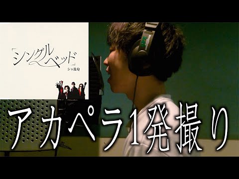 シャ乱Qのシングルベッドをアカペラファーストテイクしてみた