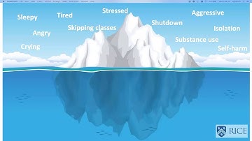 ACRL Access Services Interest Group: Dealing with Mental Health Issues as Front Line Staff