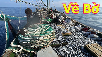 Lưới rút đêm Quảng Nam 91944 nhát lưới cuối cùng sau 23 ngày trên biển - Dân Biển