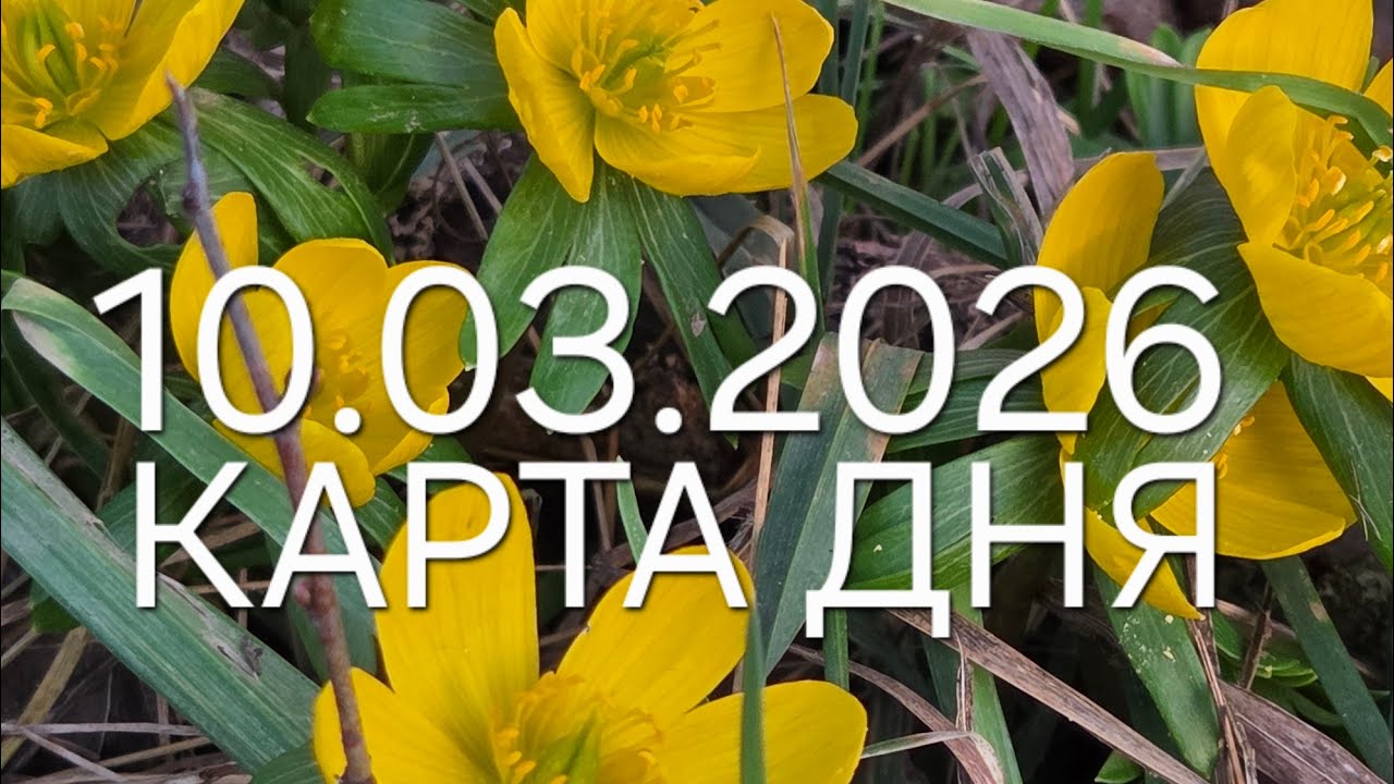 10 марта 2026 | карта дня | все знаки зодиака 🃏🍀💫