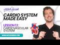 1.1 NCLEX Cardiovascular System Review (FULL Overview) | Blood Flow, Heart &amp; Vessels Explained