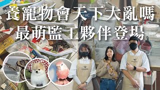 家有寵物天下大亂？！狗狗、鳥、蛇一起來整理，毛小孩物品分類整理，就看這集啦！︱居家整聊室【整聊週記EP30】