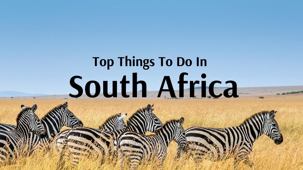 Top Things To Do & Places To Visit in South Africa