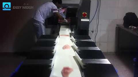 Weight Grading   Fish fillet grading automatically
