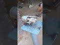 معصوم لاڑکا معصوم لاڑکا