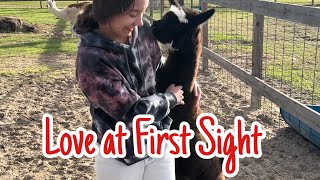 Xander & Kendra Meet Okie Dokie On a Sanctuary Visit