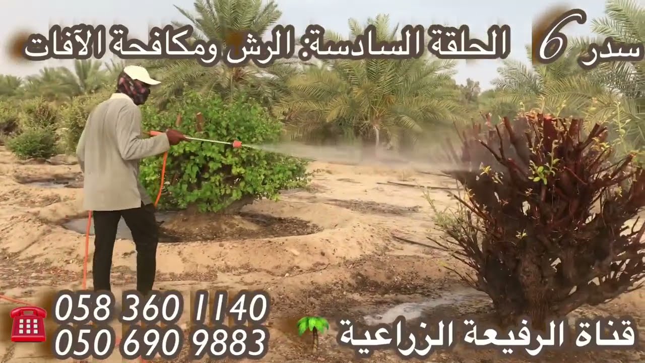 سدر 6 (الرش ومكافحة الآفات)