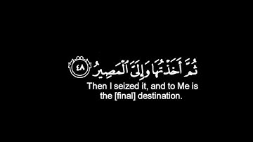 كروما شاشه سوداء قرآن كريم 🌿كروما جاهزه للمونتاج 🌿القارئ شريف مصطفى 🌿