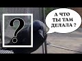 ЧТО Я ТАМ ДЕЛАЛА?🛖⚒️ #животные #птицы #врановые #ручнаягалка #влог