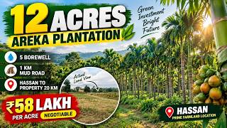 🌴 12 Acres Areca Plantation for Sale Near Hassan | Prime Agricultural Property