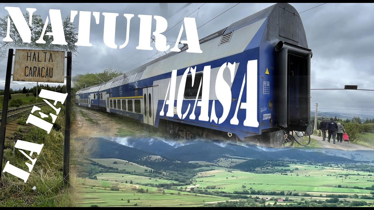 MIERCUREA CIUC- CARACAU CU TRENUL PRINTRE MUNTI PE M 501