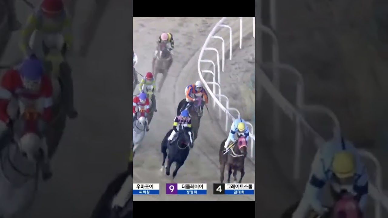 또17배적중 10 안죽네