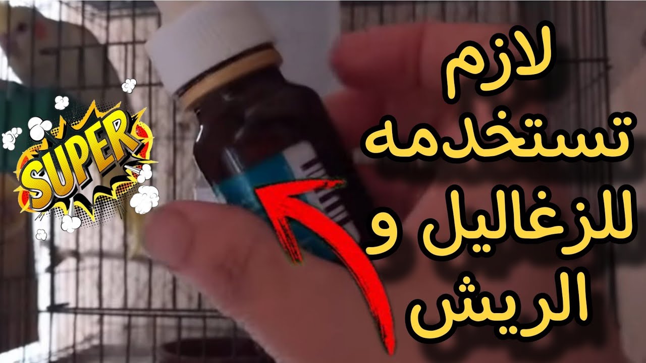 افضل فيتامين❗️ لزيادة حجم الفروخ وعلاج  ضعف الريش💥