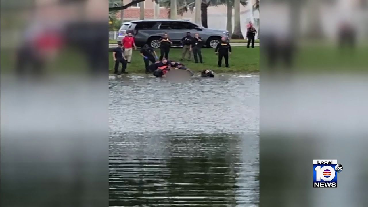 Suspect pulled from Pembroke Pines pond - YouTube