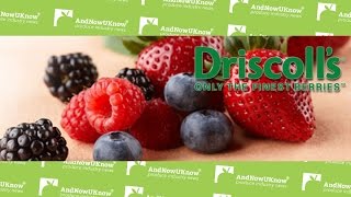 AndNowUKnow - Driscoll's PMA Foodservice 2012 - Shop Talk