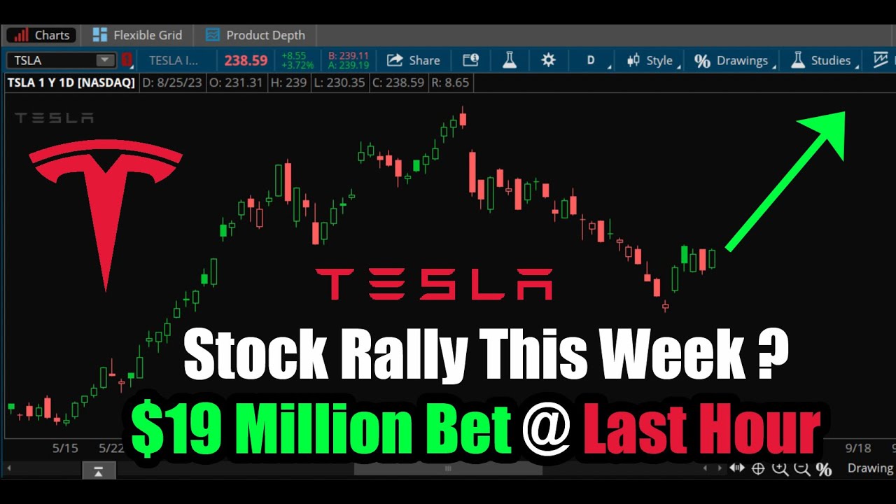 Tesla Stock Rally This Week? $19M TSLA Options Bet @ Last Hour - YouTube