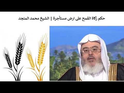 قناة الزراعة الإسلامية : زكاة القمح على الأرض المستأجرة