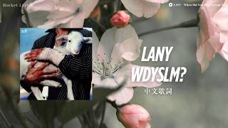 你從什麼時候開始不愛我了 / LANY - When Did You Stop Loving Me?【中文歌詞】