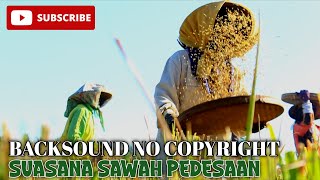 Backsound No Copyright// SUASANA SAWAH PEDESAAN