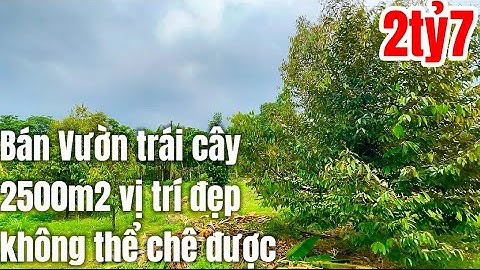 Lo tiền cho con đi du học, cô hà cần bán gấp mảnh đất vườn trái cây vị trí đẹp, gần tiện ích. Ở BRVT