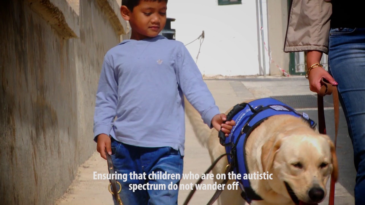 Service Dogs Malta Foundation Promo